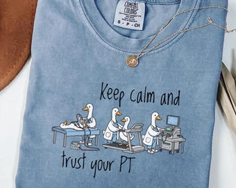Silly Goose Physical Therapy Shirt,Physical Therapy Lover Gift,Therapist Appreciation Gift,Funny Physical Therapist Shirt