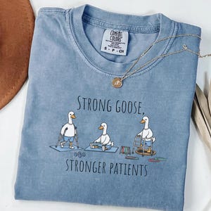 Silly Goose Physical Therapy Shirt,Funny Physical Therapist Shirt,Therapist Appreciation Gift,Physical Therapy Lover Gift