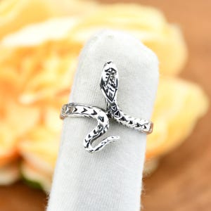 May include: A silver snake ring, coiled around a finger. The snake's head is raised, and the body is detailed with scales. The ring is displayed against a soft, neutral background, with a blurred floral backdrop.