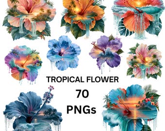 Tropical Hibiscus Flower PNG Bundle, Beach Sunset Clipart, Summer Paradise Floral Graphics
