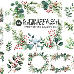 Winter Botanical Clipart PNG | Christmas Frames Bundle | Watercolor Greenery | Holiday Wreath | Floral Borders | Digital Download