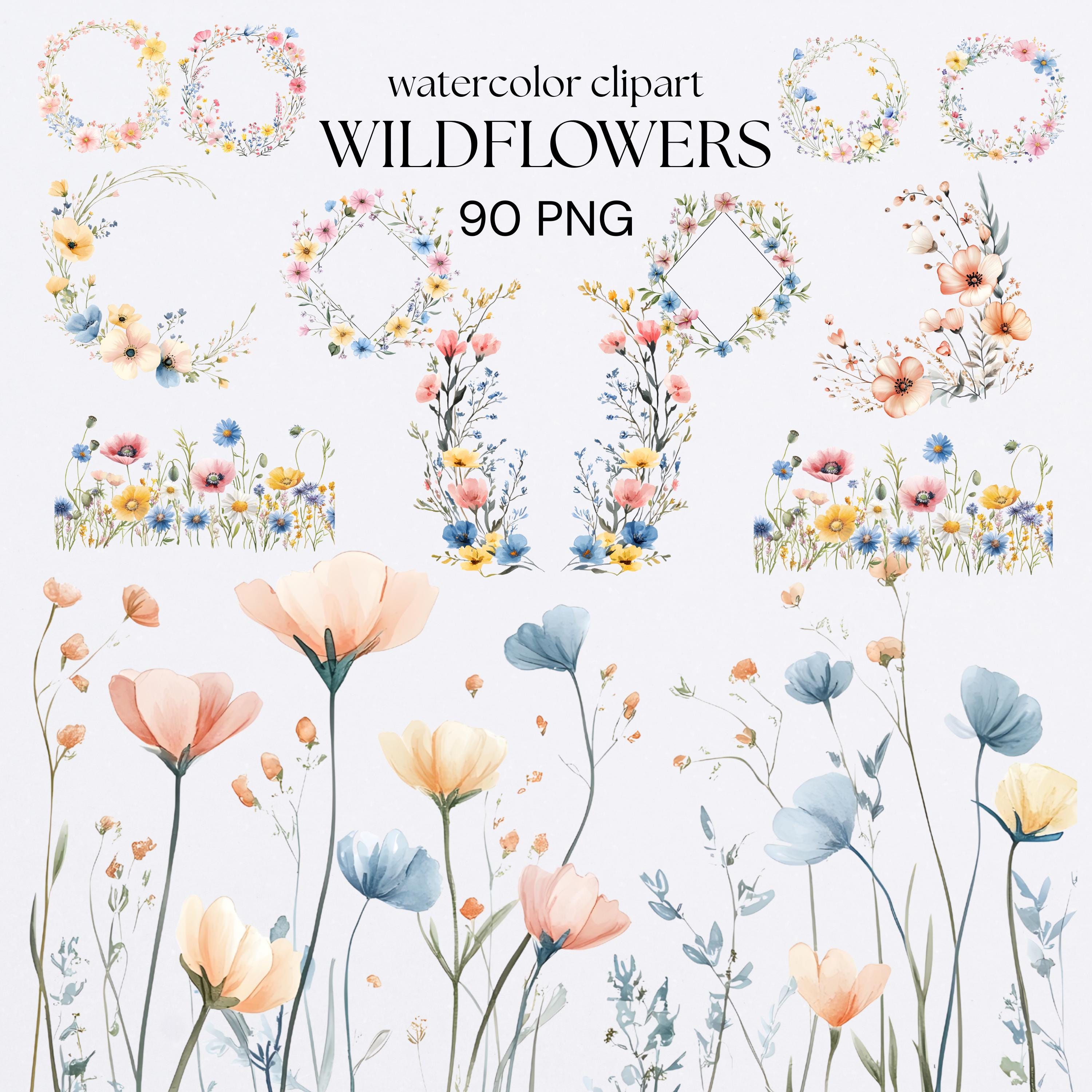 Watercolor Wildflowers Clipart Bundle Floral Frames Borders Meadow ...