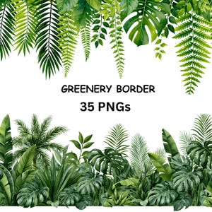 May include: A digital graphic set featuring a greenery border with various tropical leaves including monstera, palm, and fern fronds in shades of green. The text GREENERY BORDER 35 PNGs is centered in black against a white background.