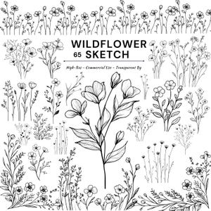 May include: A set of 65 black and white wildflower sketches. The image showcases diverse floral illustrations, including detailed drawings of flowers, leaves, and stems. Text in the image reads "WILDFLOWER 65 SKETCH" and "High-Res - Commercial Use - Transparent Bg".