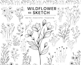 Minimal Botanical Line Art PNG Bundle | Wildflower Floral Clipart | Digital Download