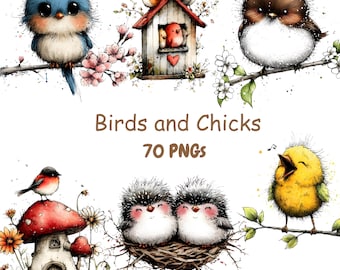 Birds and Chicks Clipart Bundle Spring Watercolor Birds PNG Nursery Art Scrapbook Craft Graphics