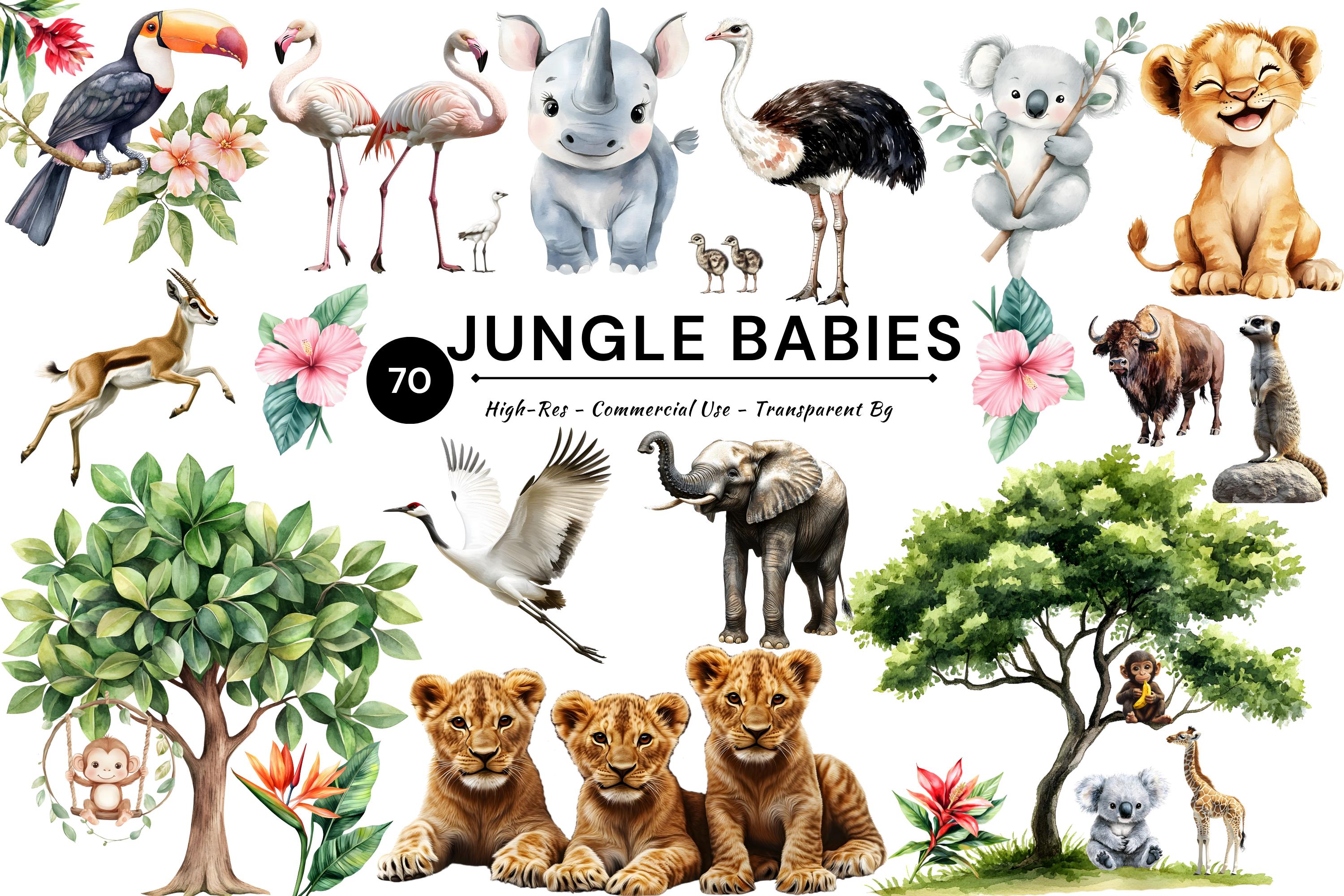 Jungle Baby Animals PNG Clipart Bundle, Safari Nursery Illustrations - Etsy