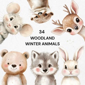 Winter Wald Tiere Clipart Set Niedliche Baby Tiere Aquarell PNG