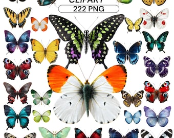 Watercolor Butterfly Clipart Bundle PNG Transparent Butterflies Floral Illustration Sublimation Graphic Digital Download