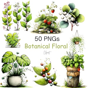 Puede incluir: Clipart botánico en acuarela con varias plantas, incluyendo fresas, hojas de monstera y plantas colgantes. La imagen incluye el texto "50 PNGs Botanical Floral Clipart."