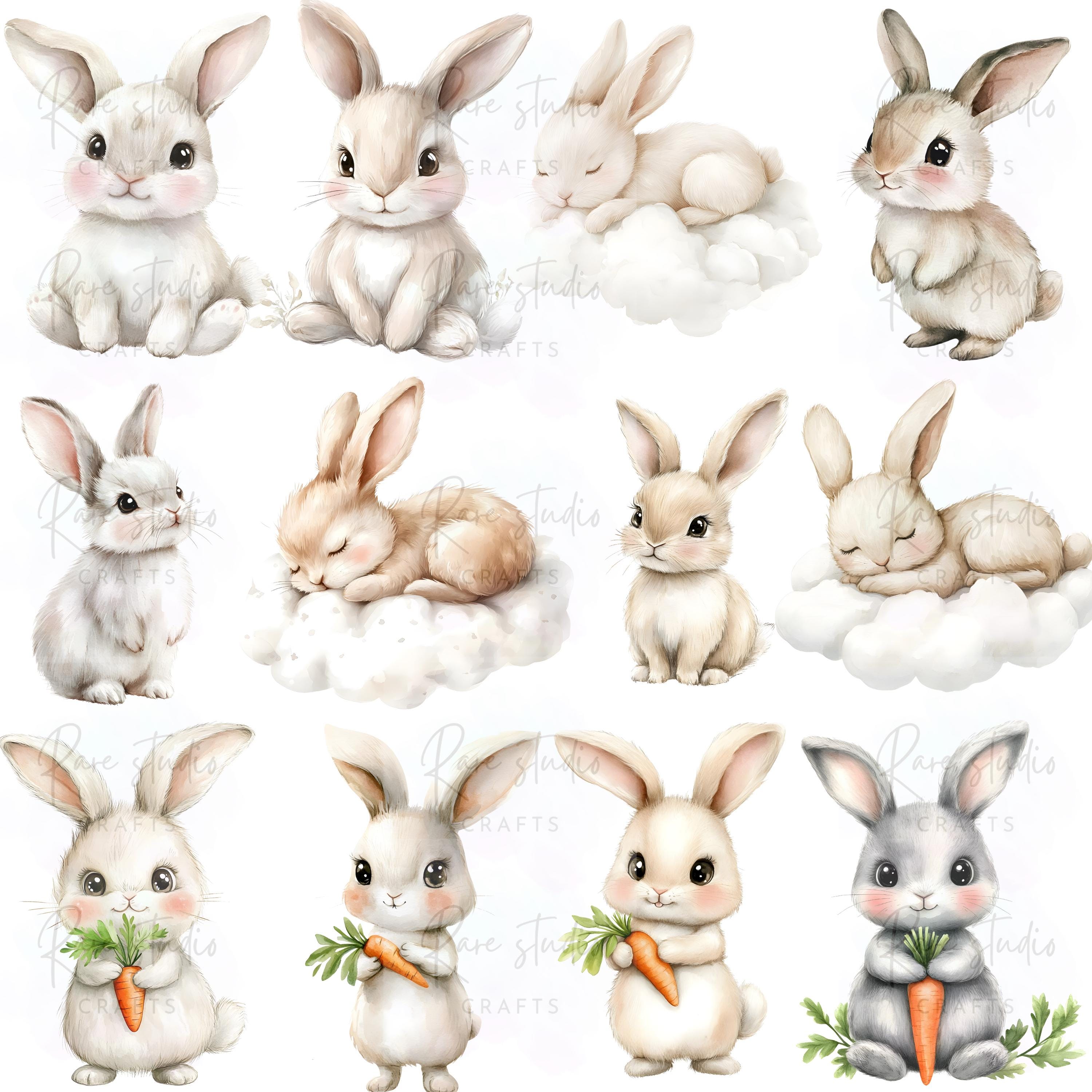 Watercolor Baby Bunny Clipart Bundle PNG, Rabbit Nursery Art ...