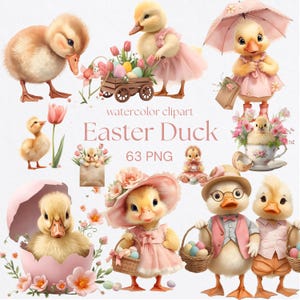 May include: Watercolor clipart featuring Easter ducks in various poses. Some ducks wear dresses, hats, and carry baskets of eggs. Others are shown with tulips, a small cart, and an umbrella. The text "Easter Duck" and "63 PNG" are also visible.