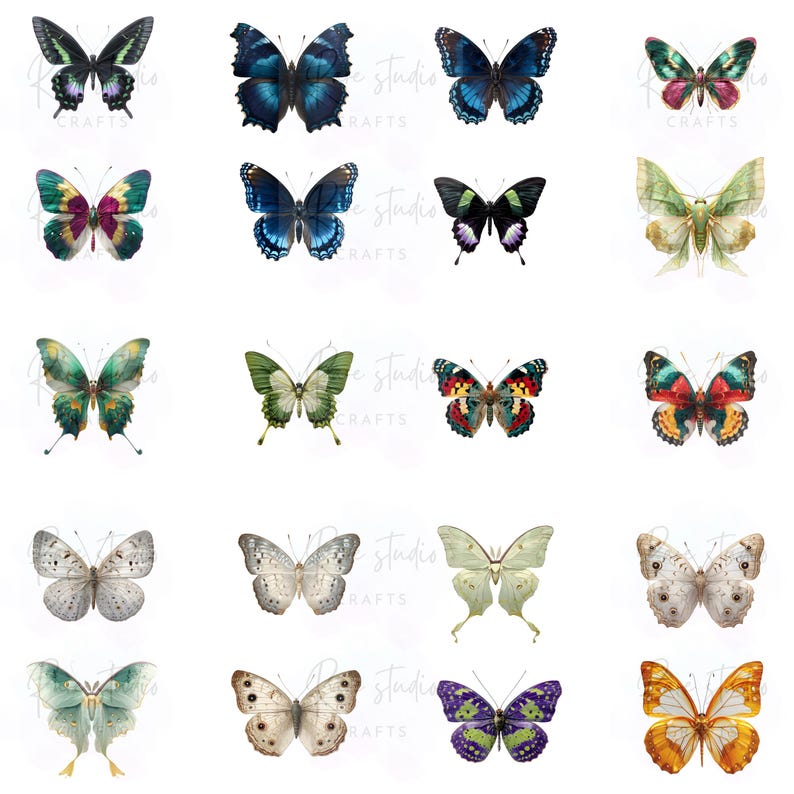 Watercolor Butterfly Clipart Bundle PNG Transparent Butterflies Floral ...