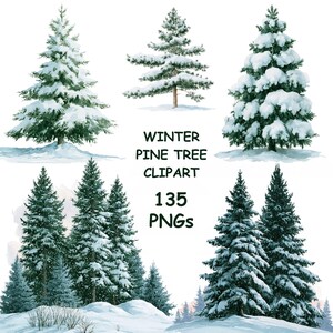 Op de afbeelding: Een verzameling illustraties in aquarel-stijl met diverse groenblijvende dennenbomen bedekt met witte sneeuw. De centrale tekst luidt WINTER PINE TREE CLIPART 135 PNGs. De bomen zijn afgebeeld in verschillende groottes en groeperingen tegen een witte achtergrond.