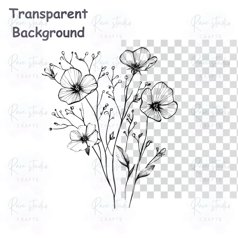 Minimal Botanical Line Art PNG Bundle | Wildflower Floral Clipart ...