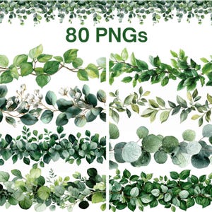 Peut inclure: Une collection de 80 fichiers numériques PNG présentant diverses illustrations à l'aquarelle de feuillage vert, de branches d'eucalyptus et de vignes feuillues disposées en bordures horizontales et guirlandes décoratives aux formes variées.