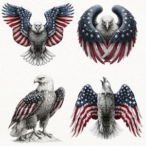 Op de afbeelding: Vier gedetailleerde illustraties van Amerikaanse zeearenden. De adelaars hebben vleugels versierd met de sterren en strepen van de Amerikaanse vlag. De adelaars worden afgebeeld in verschillende poses, waaronder zwevend, zittend en met gespreide vleugels.