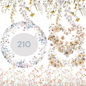 Può includere: Elementi di design floreale ad acquerello in morbidi colori pastello. Include una ghirlanda circolare con il numero 210, bordi floreali e composizioni floreali sospese. Perfetto per inviti e cancelleria.