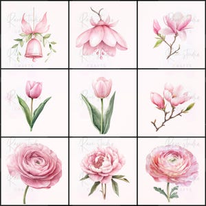 Puede incluir: Nueve ilustraciones florales en acuarela en tonos rosas. Las im&aacute;genes incluyen una campana con un lazo, una flor con p&eacute;talos colgantes, un tulip&aacute;n, una rama de magnolia, una peon&iacute;a y un ran&uacute;nculo. El texto "Rare Studio Crafts" es visible.