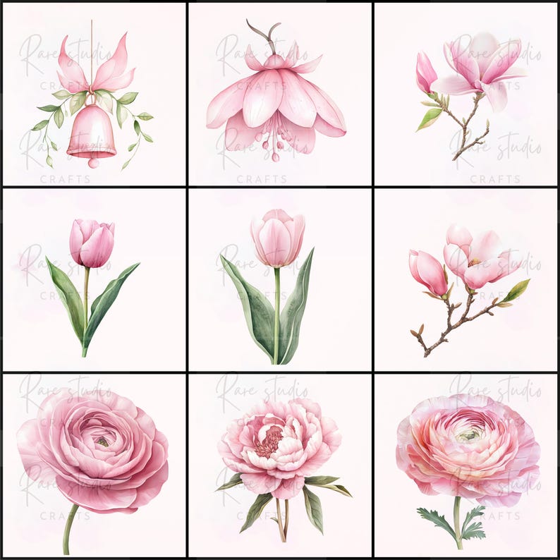 Puede incluir: Nueve ilustraciones florales en acuarela en tonos rosas. Las im&aacute;genes incluyen una campana con un lazo, una flor con p&eacute;talos colgantes, un tulip&aacute;n, una rama de magnolia, una peon&iacute;a y un ran&uacute;nculo. El texto "Rare Studio Crafts" es visible.