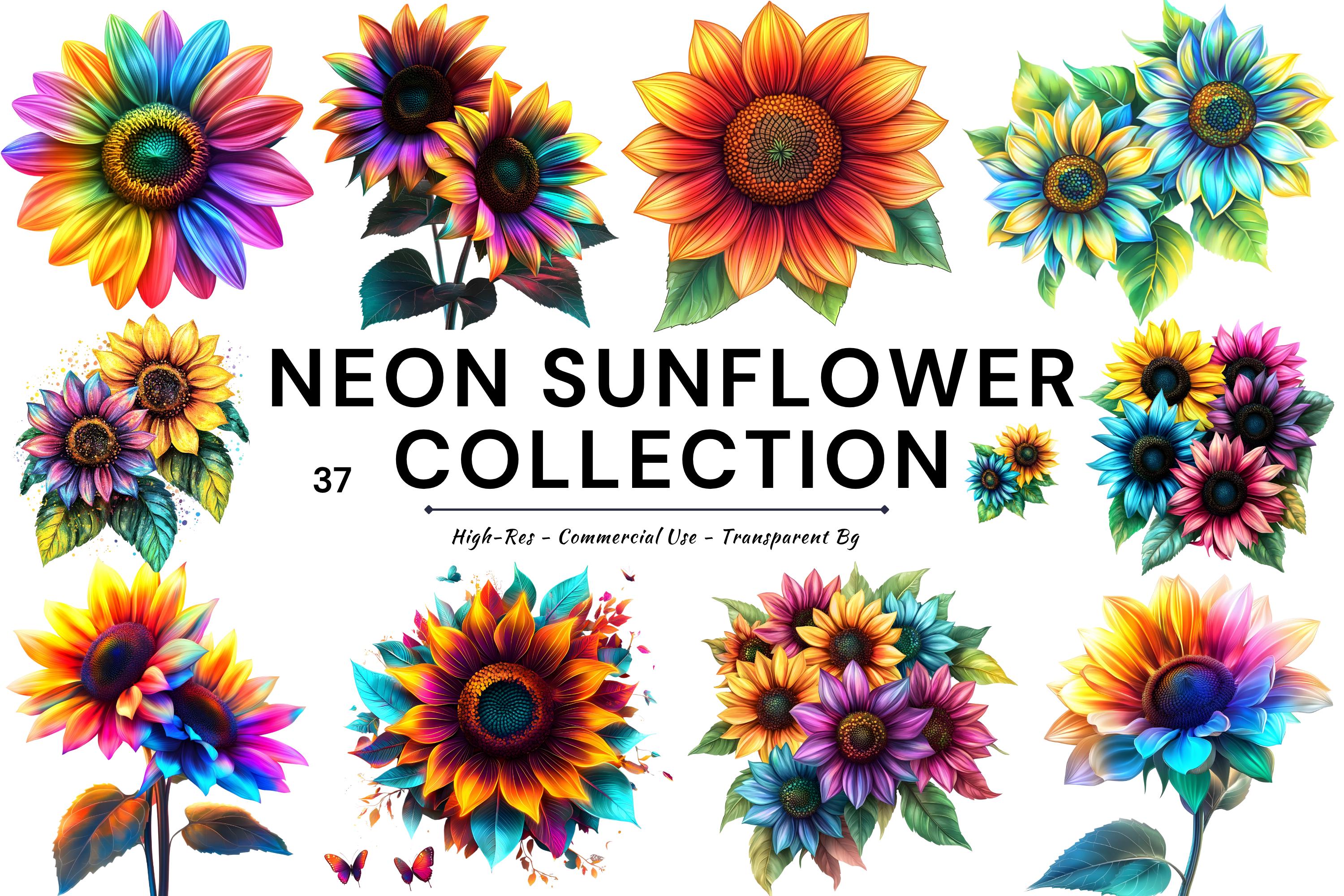 Flowers Art Works Couleur 【公式通販】