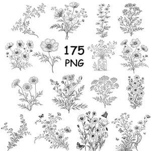 Puede incluir: Una colección de 175 ilustraciones botánicas en blanco y negro que presentan diversas flores silvestres, arreglos florales y mariposas. El conjunto incluye dibujos de líneas detallados de tallos individuales, ramos y flores en frascos.