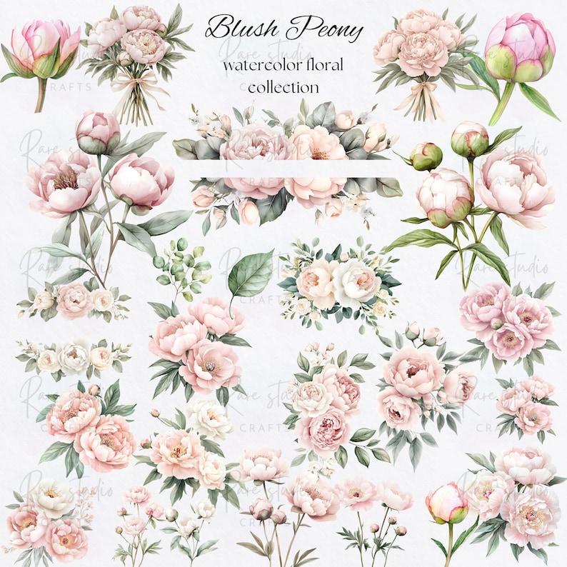 Blush Peony Watercolor Clipart Bundle, Rose Floral PNG, Wedding Flowers ...
