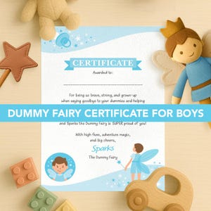 Boys Dummy Fairy Certificate | Digital Download | Printable Certificate from Sparks the Dummy Fairy