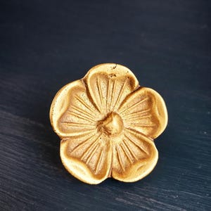 May include: A golden-colored, flower-shaped decorative object. The object has five petals with detailed lines radiating from the center. The background is a dark blue-green color.
