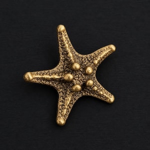 Puede incluir: Una detallada estrella de mar dorada con una superficie texturizada. La estrella de mar de cinco puntas tiene pequeñas protuberancias redondas en su centro y puntas. La estrella de mar se encuentra sobre un fondo oscuro, resaltando su intrincado diseño y acabado metálico.