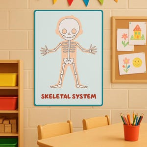 Human Body Systems-posterset voor kinderen – 8 printables onderwijskunde | Anatomiekaart in het Engels | Thuisonderwijs en klasdecoratie