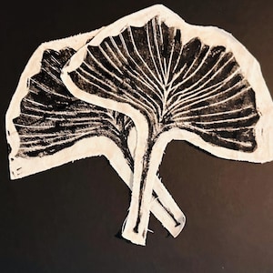 Queer Plants Large Patches, Ginkobladsfält, Penséfält, Lavendelfält