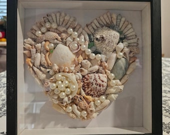 Seashell Shadowbox