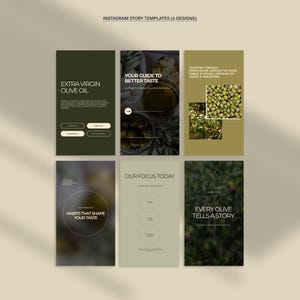May include: Instagram story templates with six designs. The templates feature olive oil and olive-related content. Text includes "Extra Virgin Olive Oil", "Your Guide to Better Taste", and "Every Olive Tells a Story". The color palette is olive green and beige.