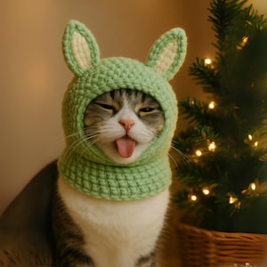 Può includere: Un gatto con un cappello da coniglio verde all'uncinetto con orecchie interne color crema, che tira fuori la lingua. Il gatto ha il pelo grigio e bianco. Un albero di Natale con luci è sullo sfondo.