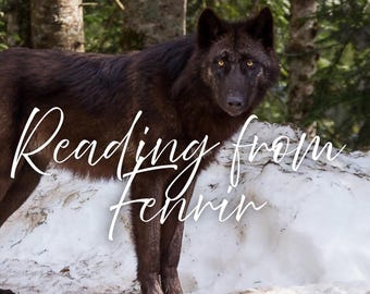 Channeled Reading from Fenrir