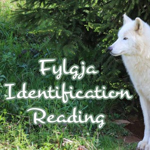 May include: A white wolf stands in front of green foliage. The image includes the text "Fylgja Identification Reading" in a whimsical, light green font. The wolf's fur is a bright white, contrasting with the natural background.