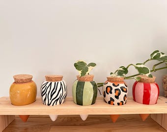 Olla d’arrosage en céramique – Arrosage autonome naturel - Idée cadeau originale - Cadeau pour elle - Cadeau pour lui - Fête des mères