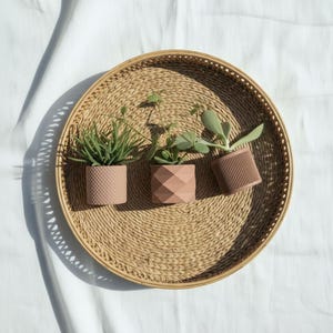 Può includere: Tre piccole piante in vaso con contenitori testurizzati color terracotta disposti su un vassoio rotondo in erba marina intrecciata. I vasi presentano motivi distinti: una texture puntinata, un design geometrico a rombi e linee verticali.