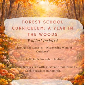 Herbstwald – Lehrplan 12-wöchige Natur-Lernreise Teil 1 von 4 Jahreszeiten