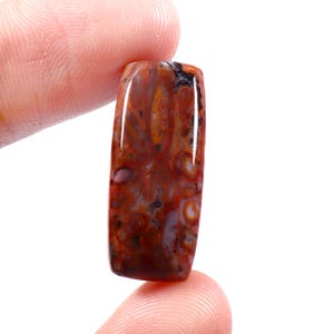 Op de afbeelding: Een gepolijste, rechthoekige edelsteen met een rijk, aards kleurenpalet. De steen heeft een mix van diepe rood-, bruin- en oranjetinten, met ingewikkelde patronen en adering. De edelsteen wordt tussen twee vingers gehouden.