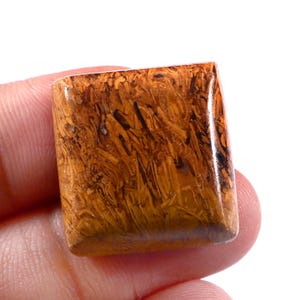 Op de afbeelding: Een gepolijste, rechthoekige edelsteen met een warm, aards kleurenpalet. De steen heeft een mix van bruine, oranje en zwarte tinten, met ingewikkelde patronen die lijken op houtnerf. De edelsteen wordt in een hand gehouden, wat het gladde, glanzende oppervlak laat zien.