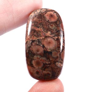 Op de afbeelding: Een ovaalvormige edelsteen met een gepolijst oppervlak. De steen heeft een mix van bruine, roodbruine en bruine kleuren met cirkelvormige patronen. De edelsteen wordt tussen twee vingers gehouden, wat de grootte en vorm benadrukt.