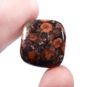 Op de afbeelding: Een gepolijste, vierkante edelsteen met een uniek patroon. Het toont een mix van donkerbruine, zwarte en rood-oranje cirkelvormige en onregelmatige vormen. Het oppervlak is glad en reflecterend, wat de natuurlijke kleur- en textuurvariaties benadrukt.