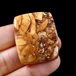 Op de afbeelding: Een gepolijste, rechthoekige edelsteen met een uniek patroon van bruin-, beige- en wittinten. Het oppervlak van de steen is glanzend en de ingewikkelde adering creëert een natuurlijke, aardse esthetiek. De edelsteen wordt in een hand tegen een zwarte achtergrond gehouden.