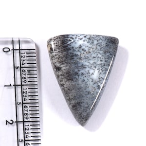 Op de afbeelding: Een driehoekige edelsteen met een witte basis en ingewikkelde zwarte dendritische patronen. De steen bevindt zich naast een liniaal, die een maatreferentie in centimeters geeft. Het gepolijste oppervlak van de edelsteen reflecteert licht.