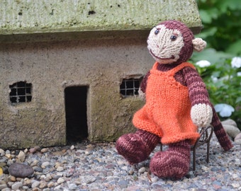 Colin, sweet boy monkey