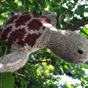 May include: A knitted turtle toy with a brown and white diamond pattern on its shell, hanging from a tree branch.