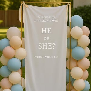 Gender Reveal Decor, He or She What Will Baby Be, Gender Guess Sign, Minimalist Baby Gender Reveal, Personalized Sheer Tulle Welcome Sign
