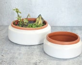The Theresa Terra Cotta Plant Pot Indoor Terracotta Planter Cacti Succulent Gardens